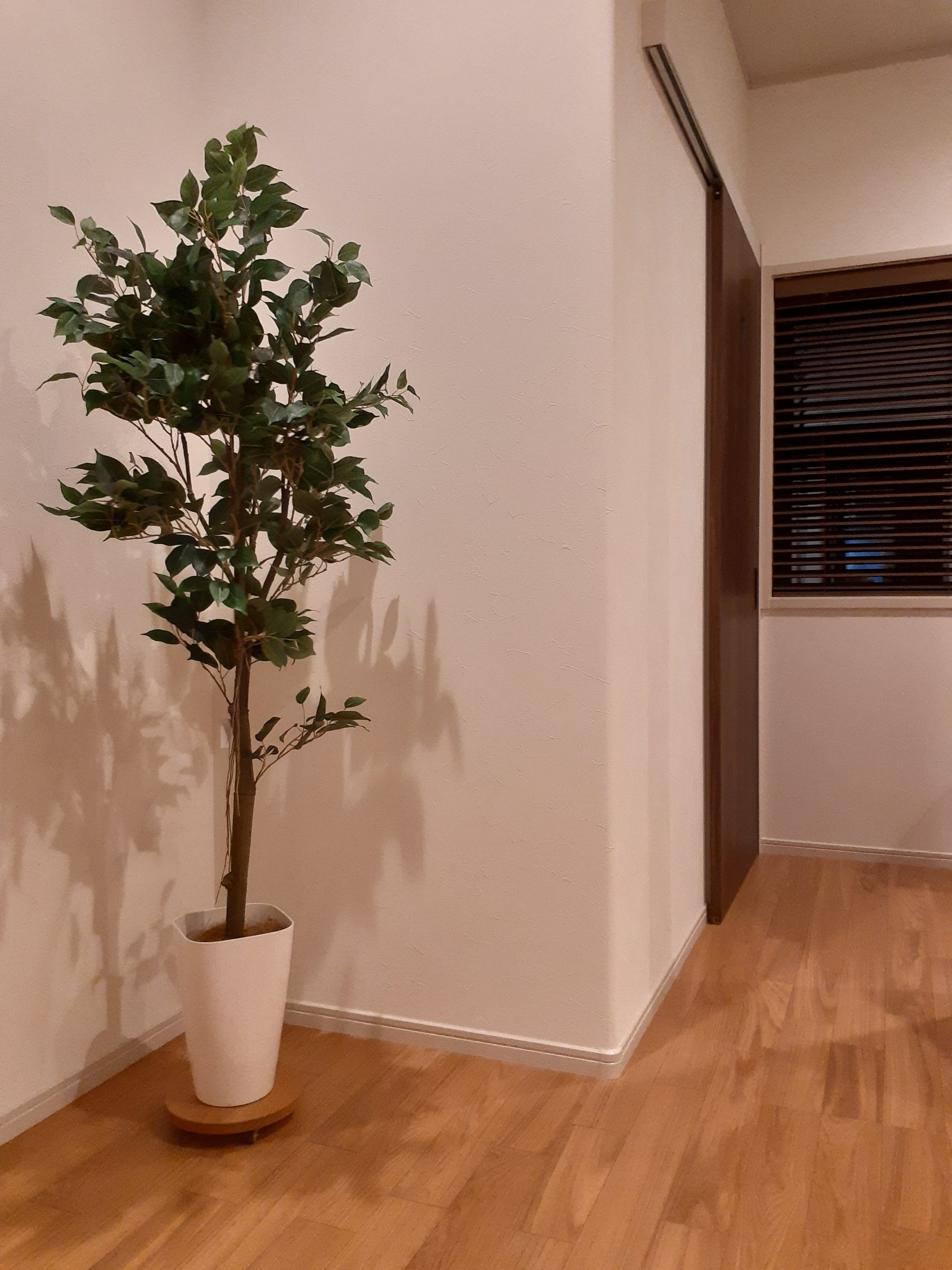 ベンジャミン フェイクグリーン インテリア