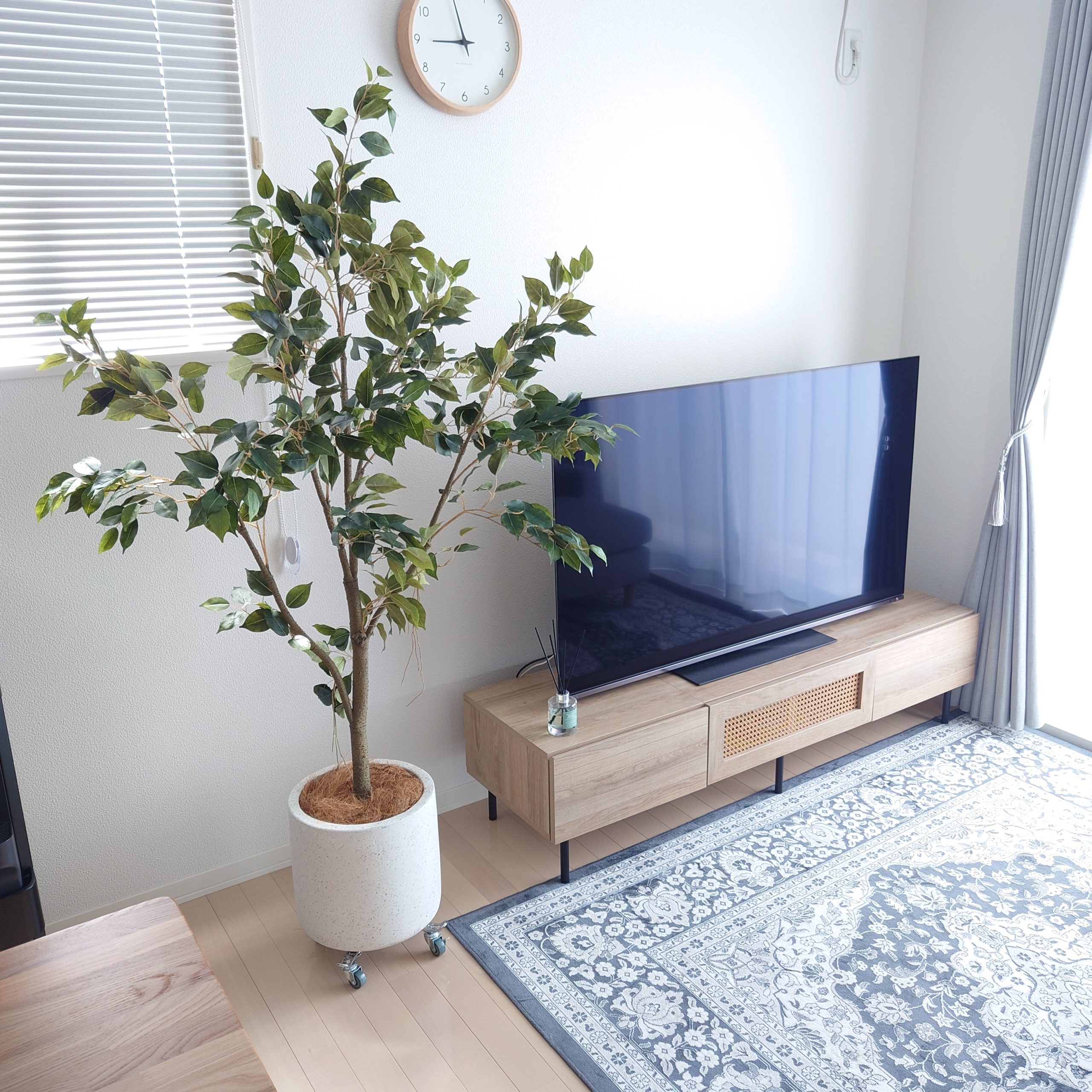 フェイクグリーン ベンジャミン