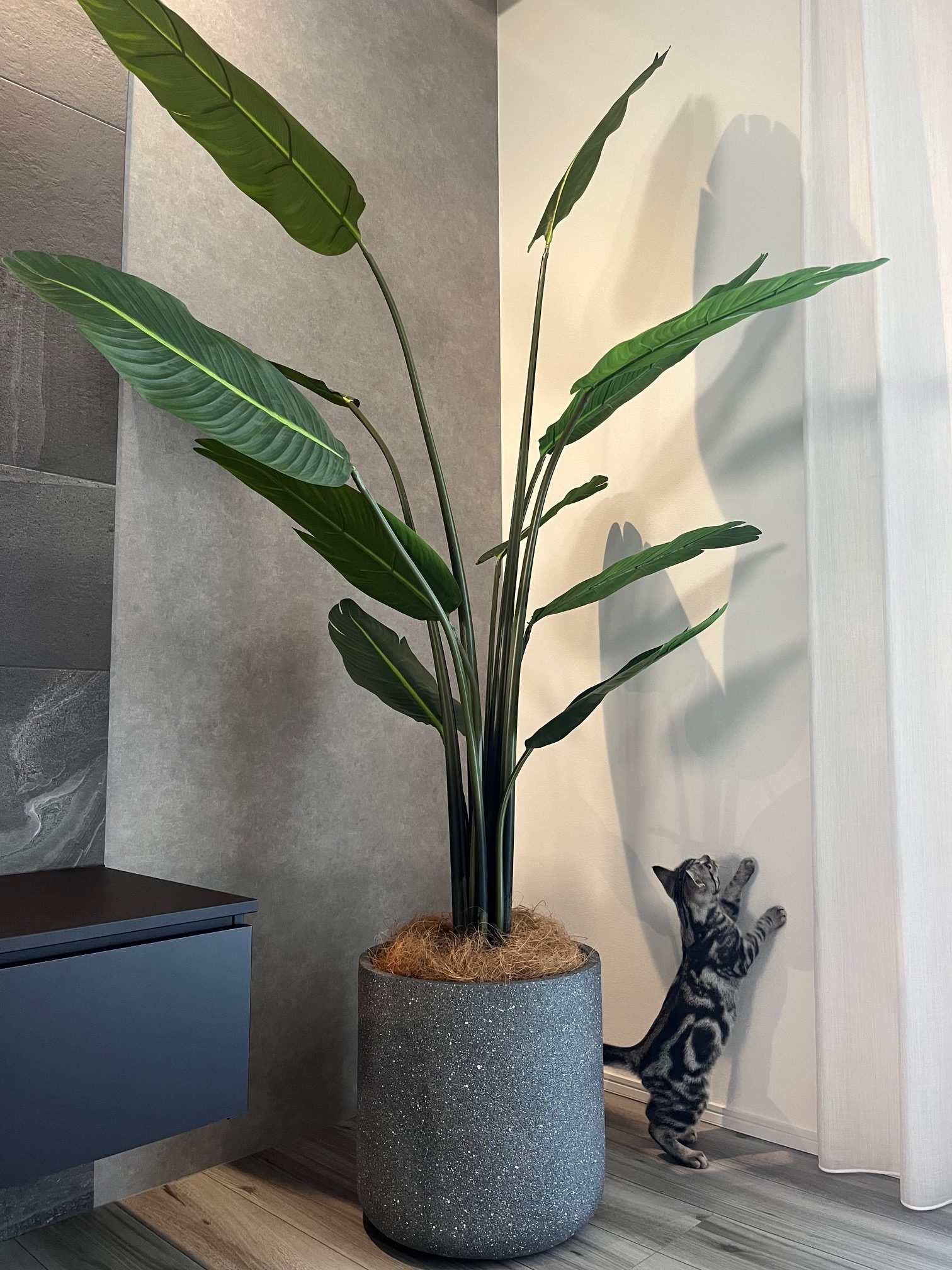 180cm以上 フェイクグリーン インテリア