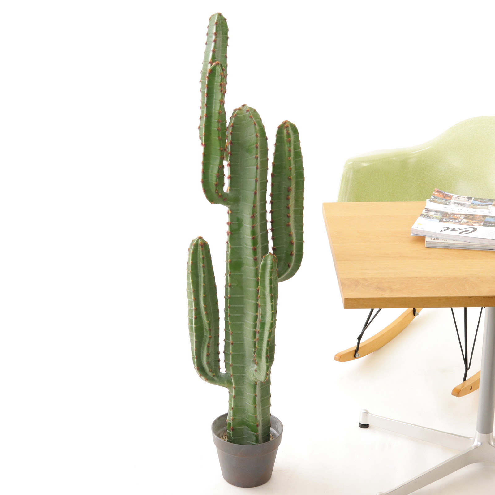 サボテンのあるインテリア