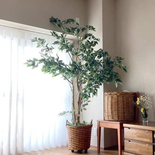 垢抜ける！フェイクグリーンの置き方【3つのポイント】