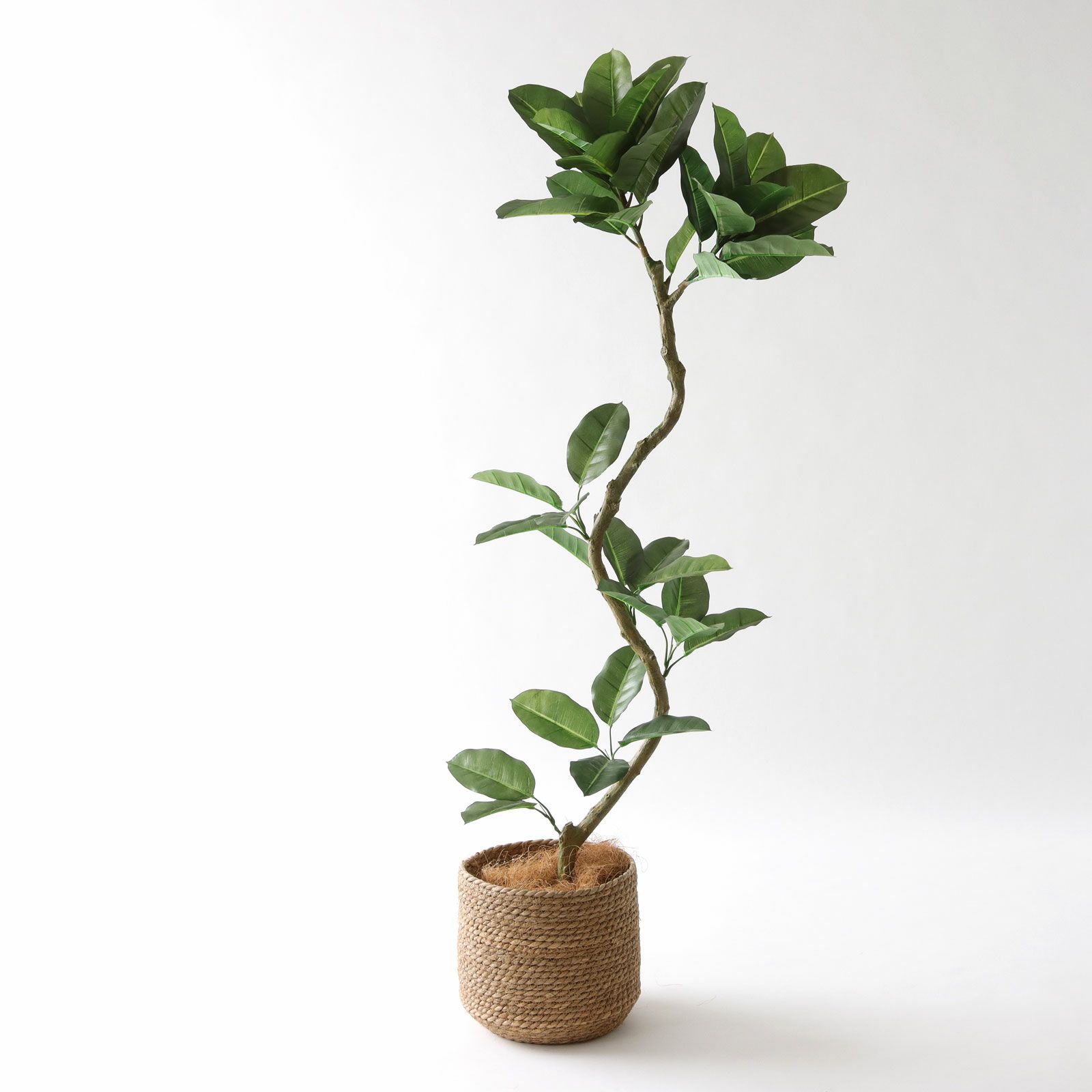 フェイクグリーンの鉢カバー問題について