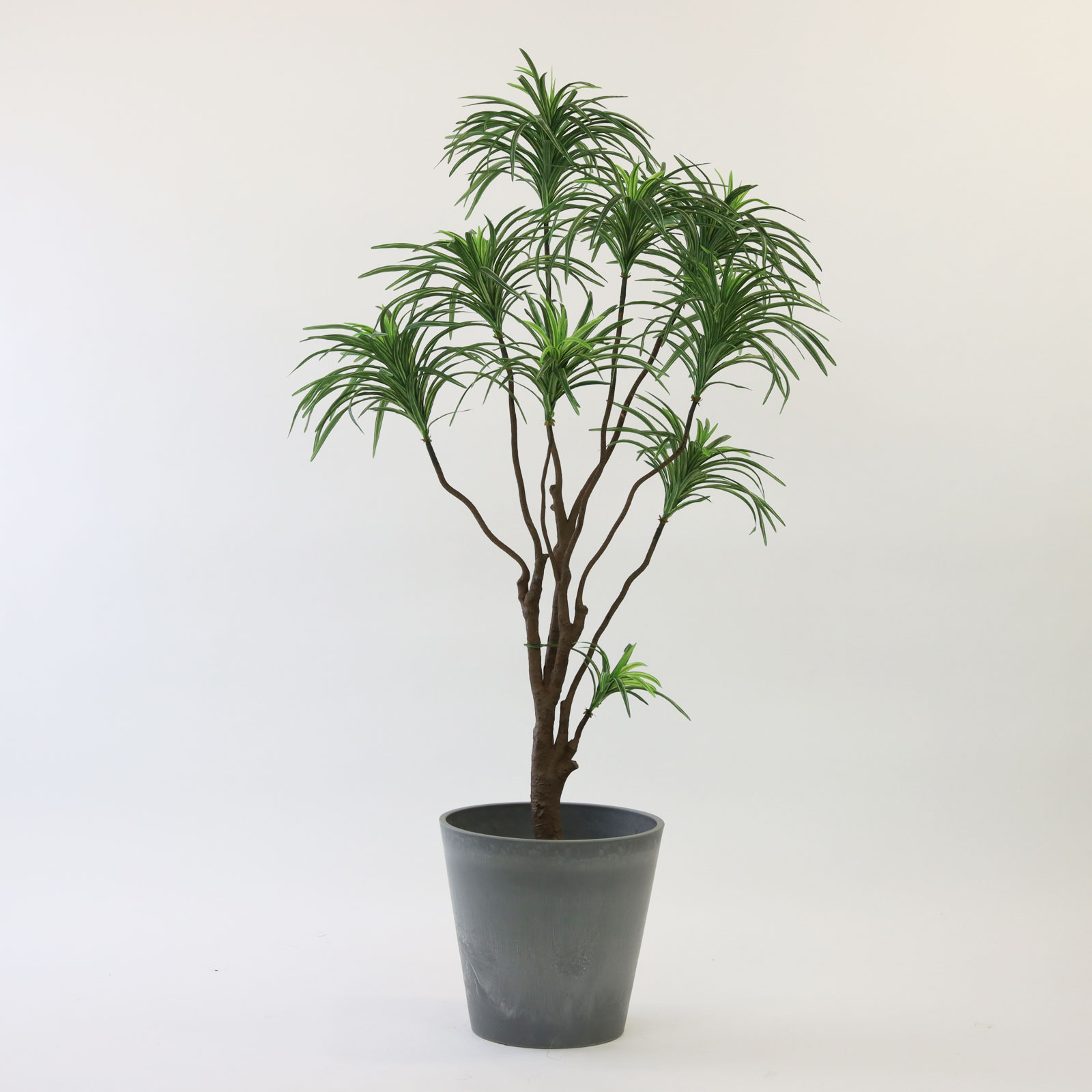 大きめ鉢カバーにそのまま入れた状態