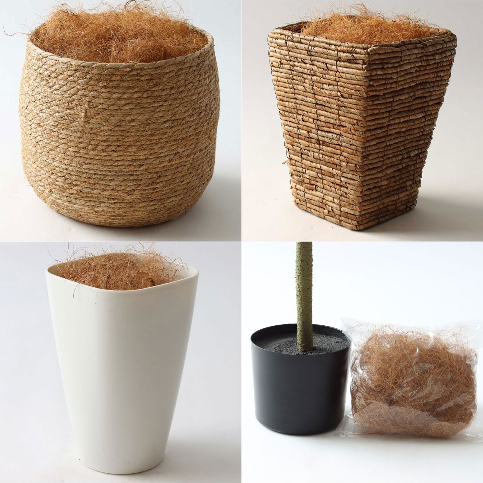 インドゴムノキ 鉢カバーオプション