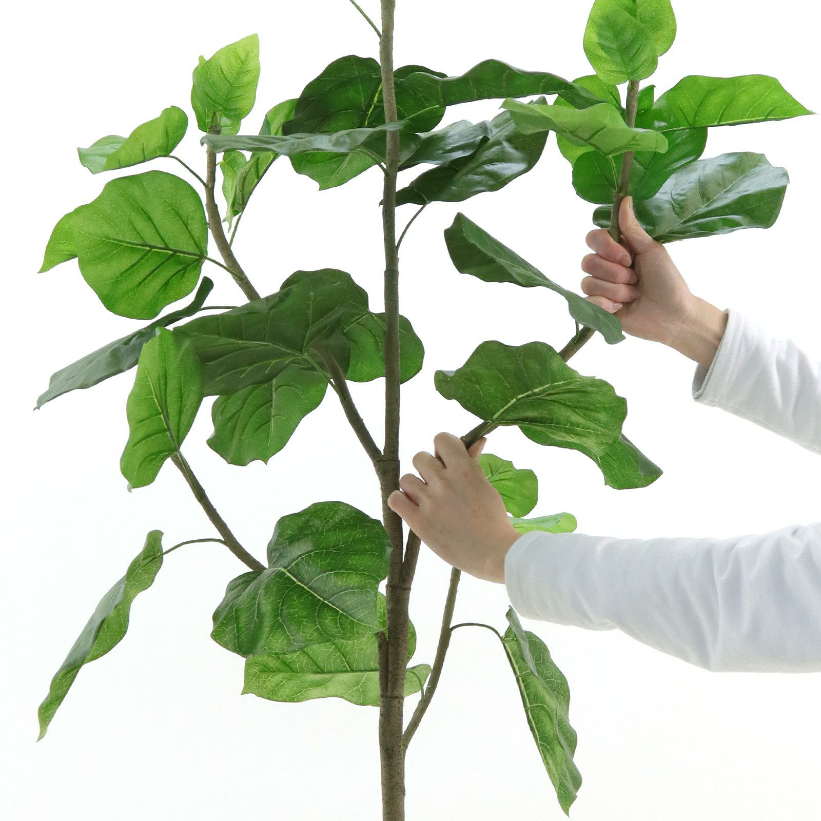 No9283 プレミアム光触媒フェイクグリーン 「柔らかな葉 × バランスの