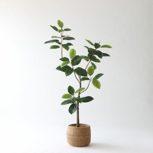 高さ150-180cm | プレミアム光触媒フェイクグリーン 造花ドットコム