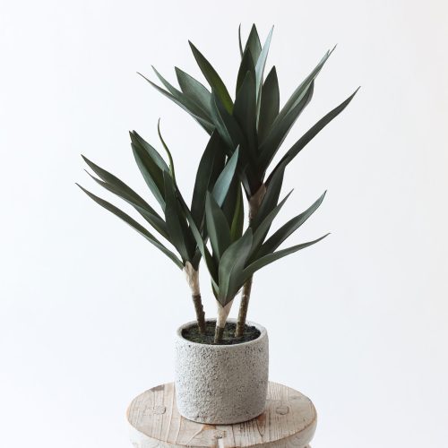 モダンな部屋に合うフェイクグリーンの選び方