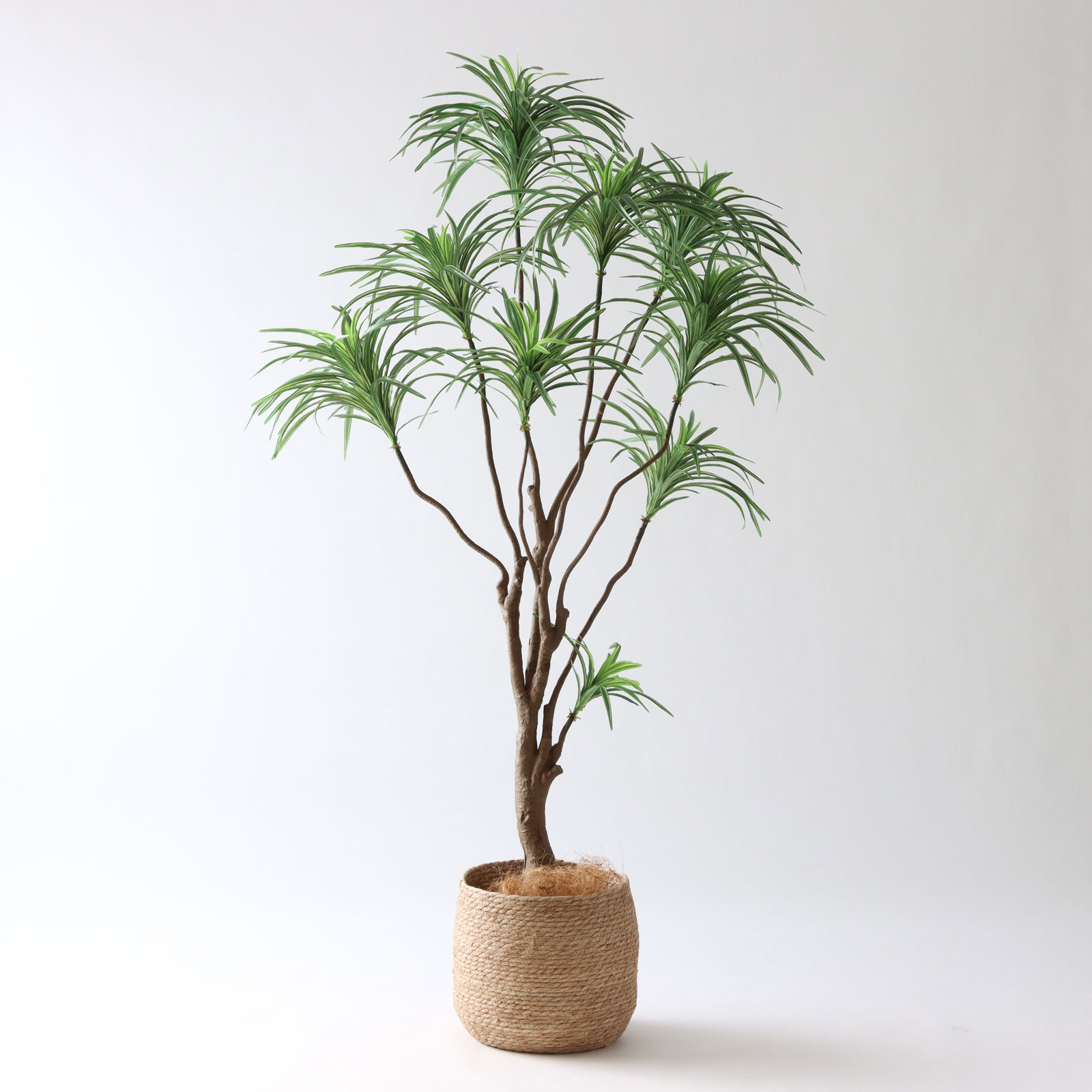 シーグラス鉢 大サイズ(直径約◯◯cm) × フェイクグリーン 高さ180cm