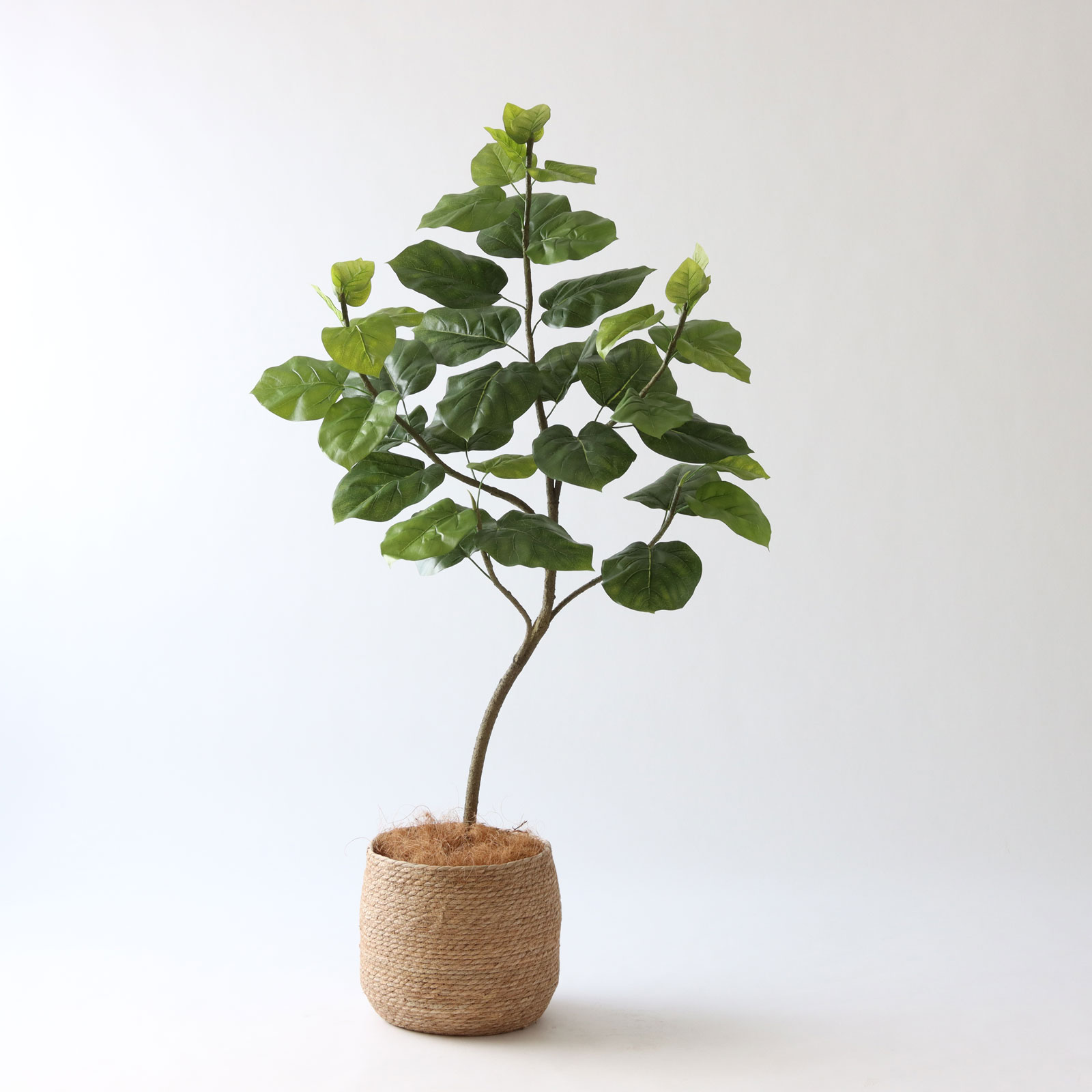 シーグラス鉢 大サイズ(直径約◯◯cm) × フェイクグリーン 高さ150cm