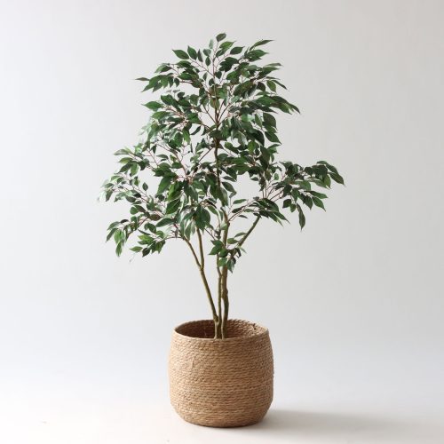 丸っこくて、やさしい。新しいシーグラス鉢の話