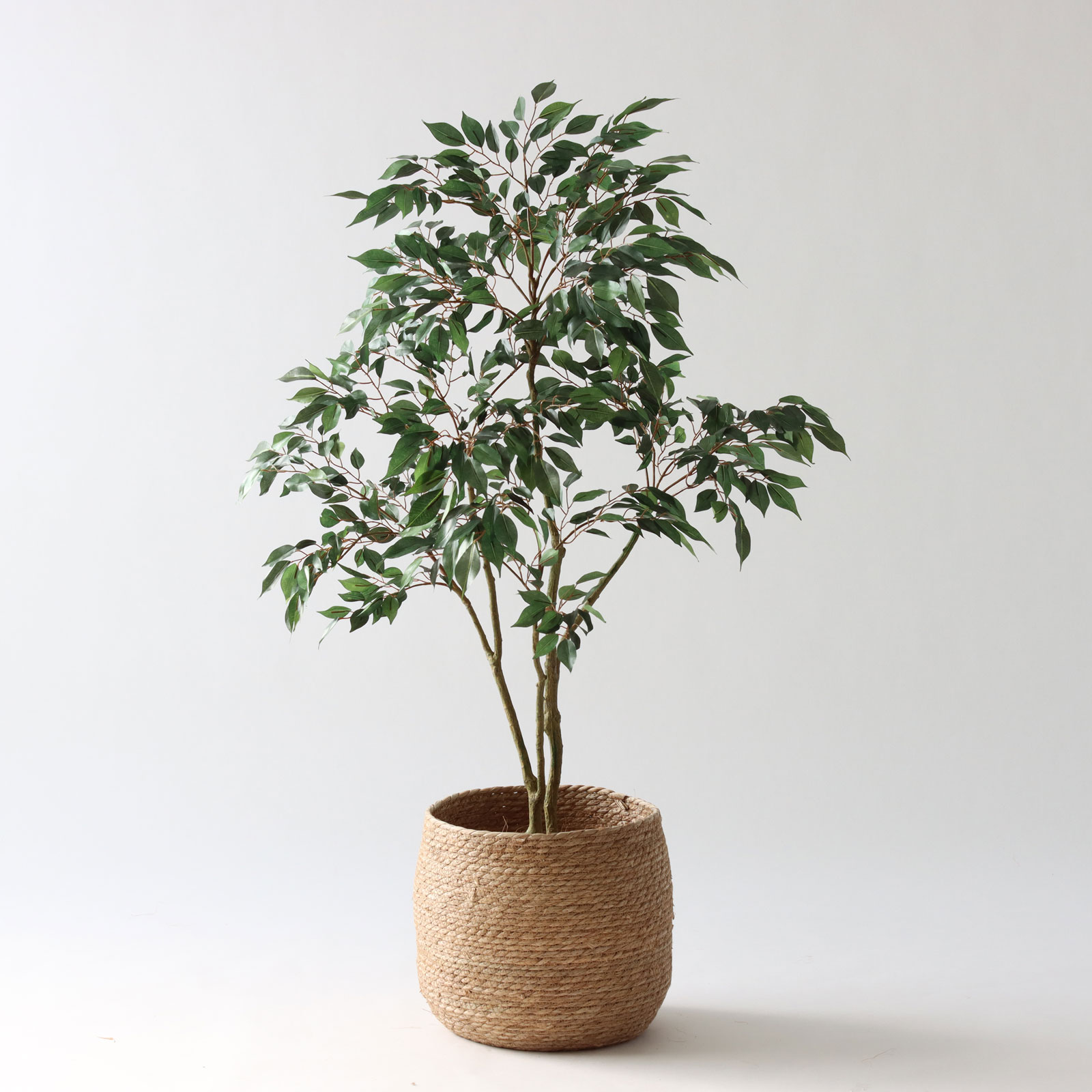 ベンジャミン フェイクグリーン 商品写真