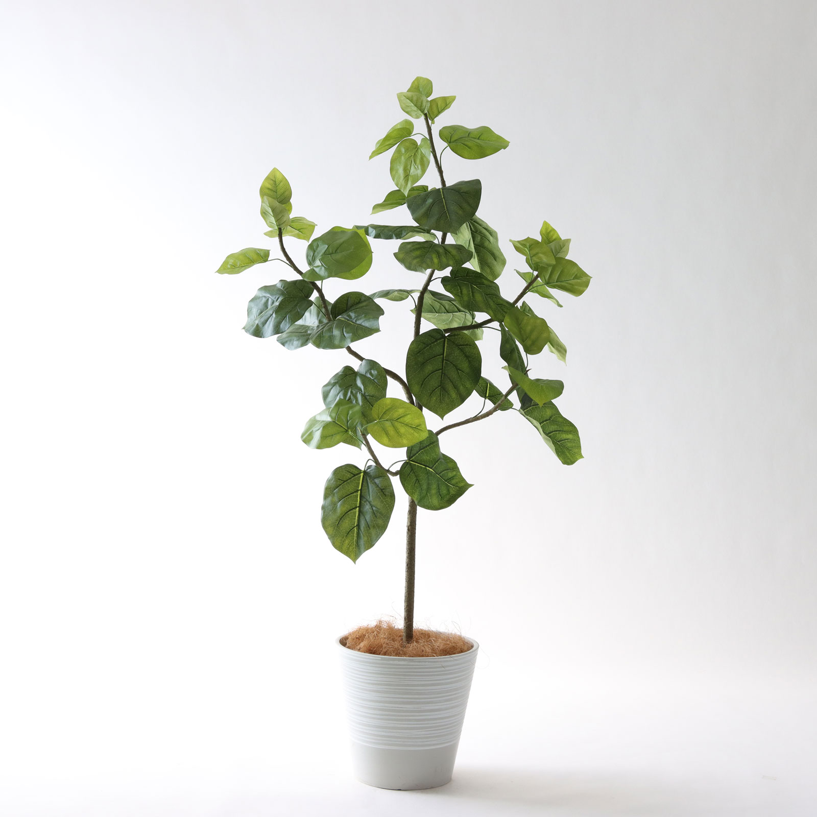 No9283 プレミアム光触媒フェイクグリーン 「柔らかな葉 × バランスの