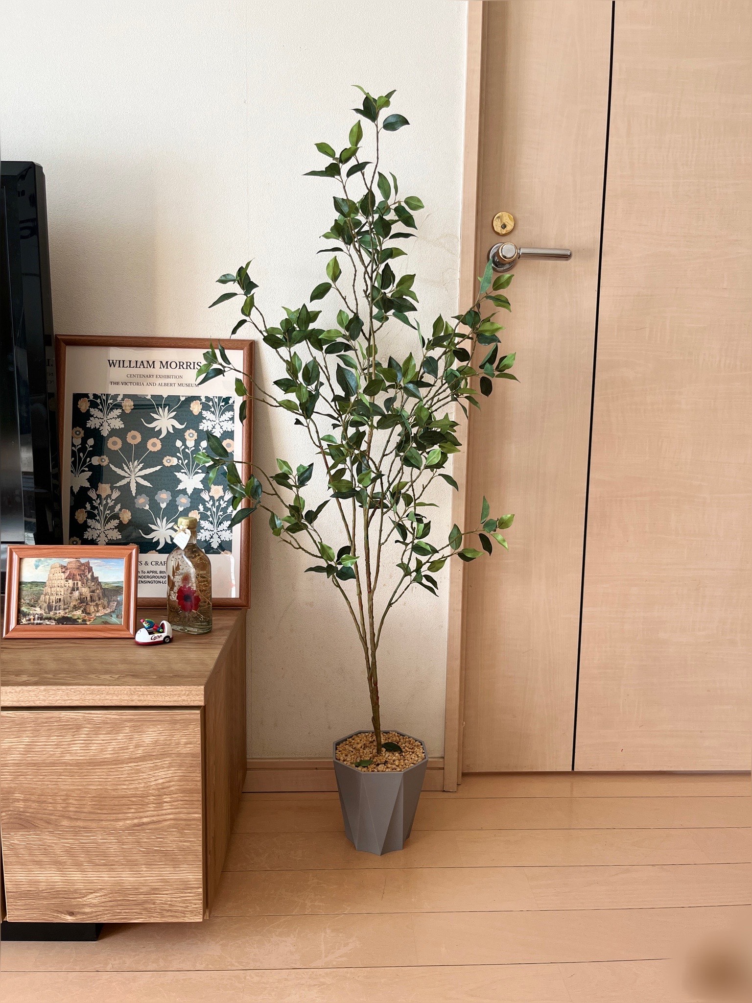 ナチュラル・北欧の部屋に置いたベンジャミン