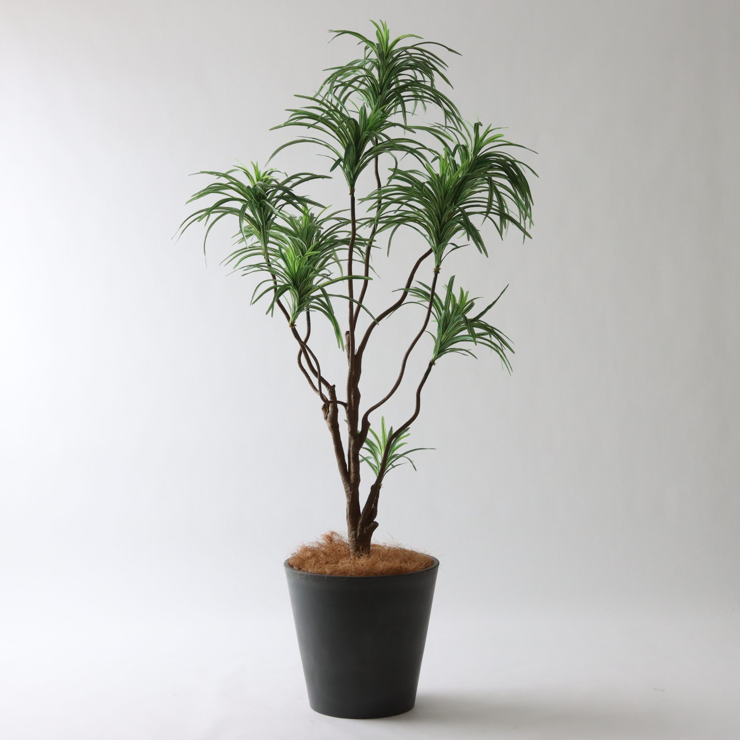 すべてセットして完成した状態