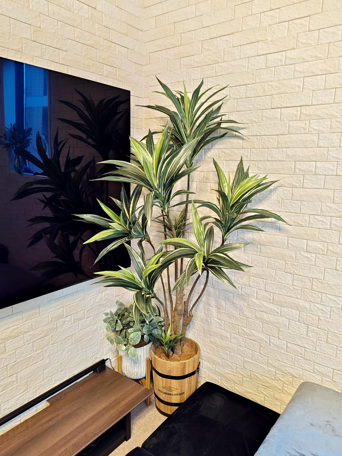 プレミアム光触媒フェイクグリーン 造花ドットコム zouka.com