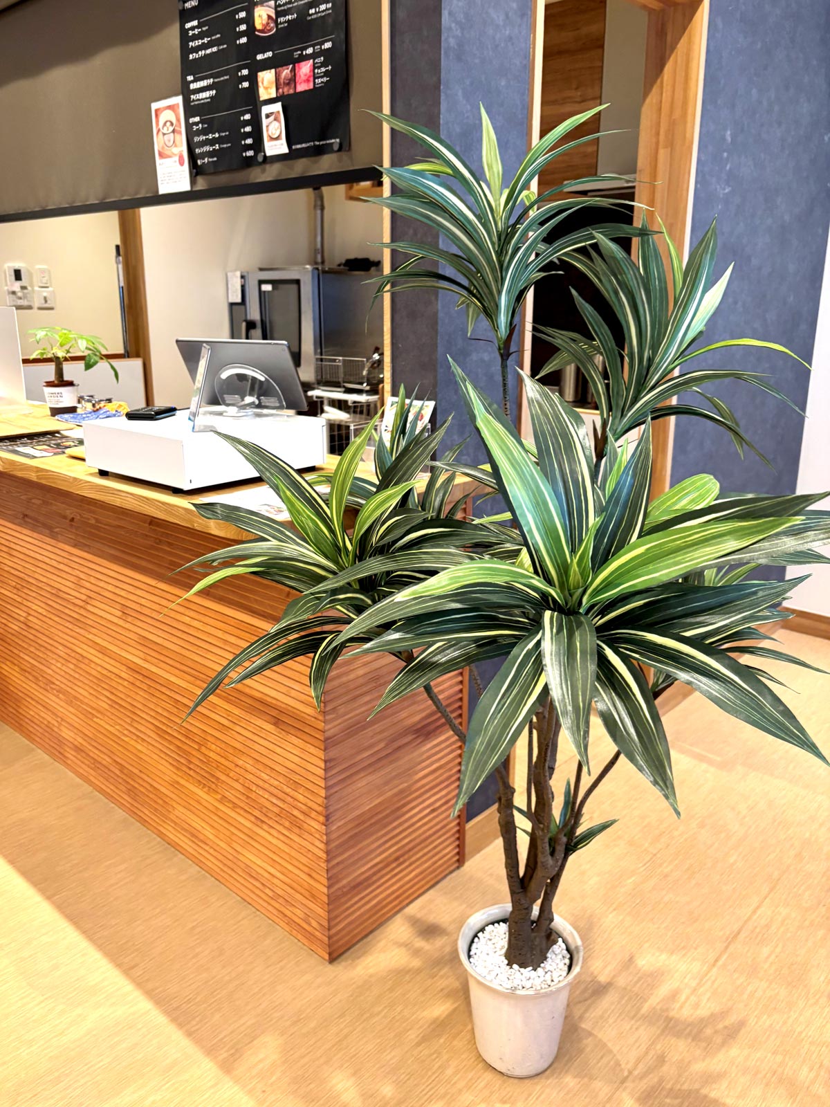 プレミアム光触媒フェイクグリーン 造花ドットコム zouka.com