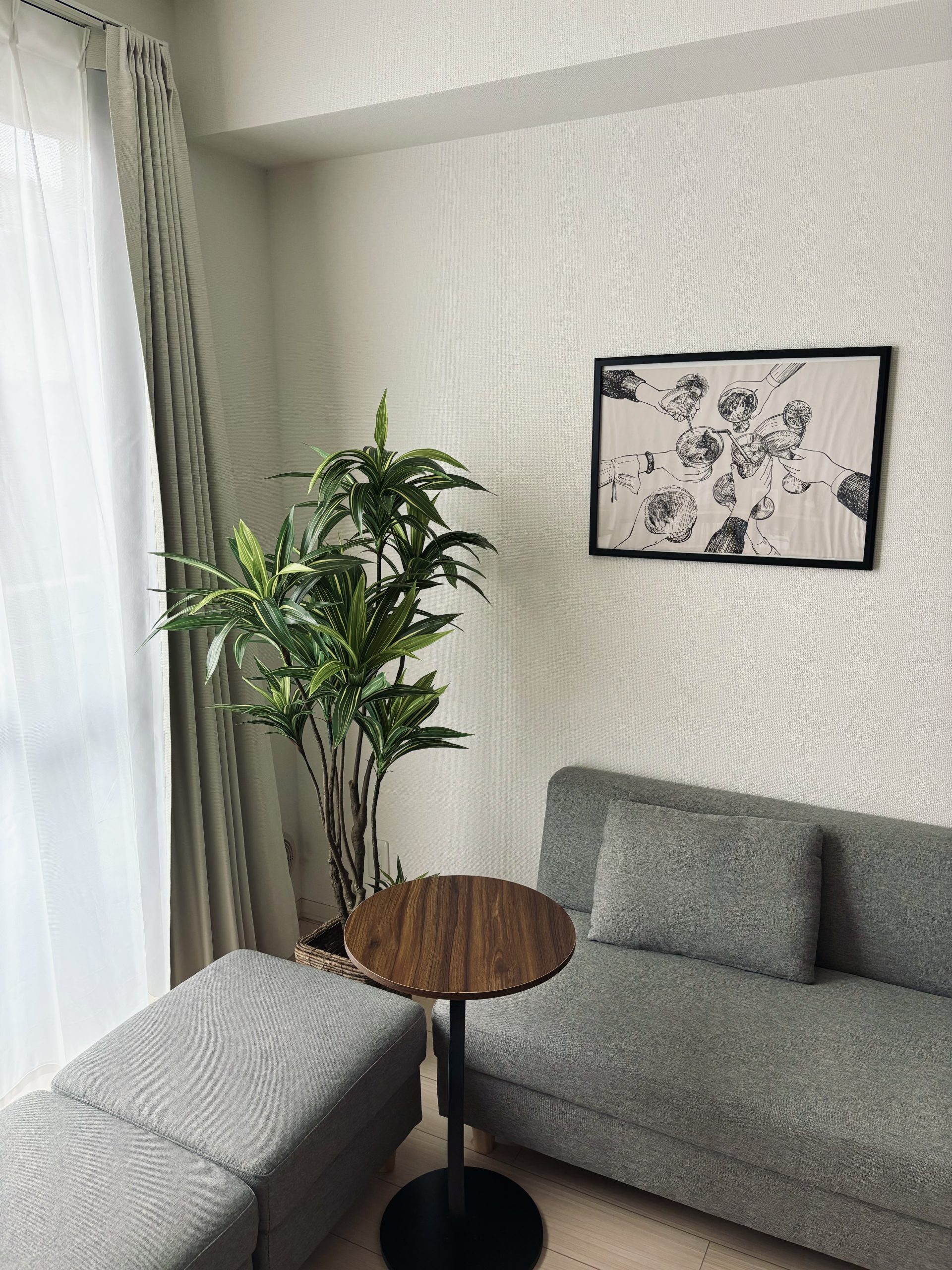 モダンの部屋に置いたドラセナ