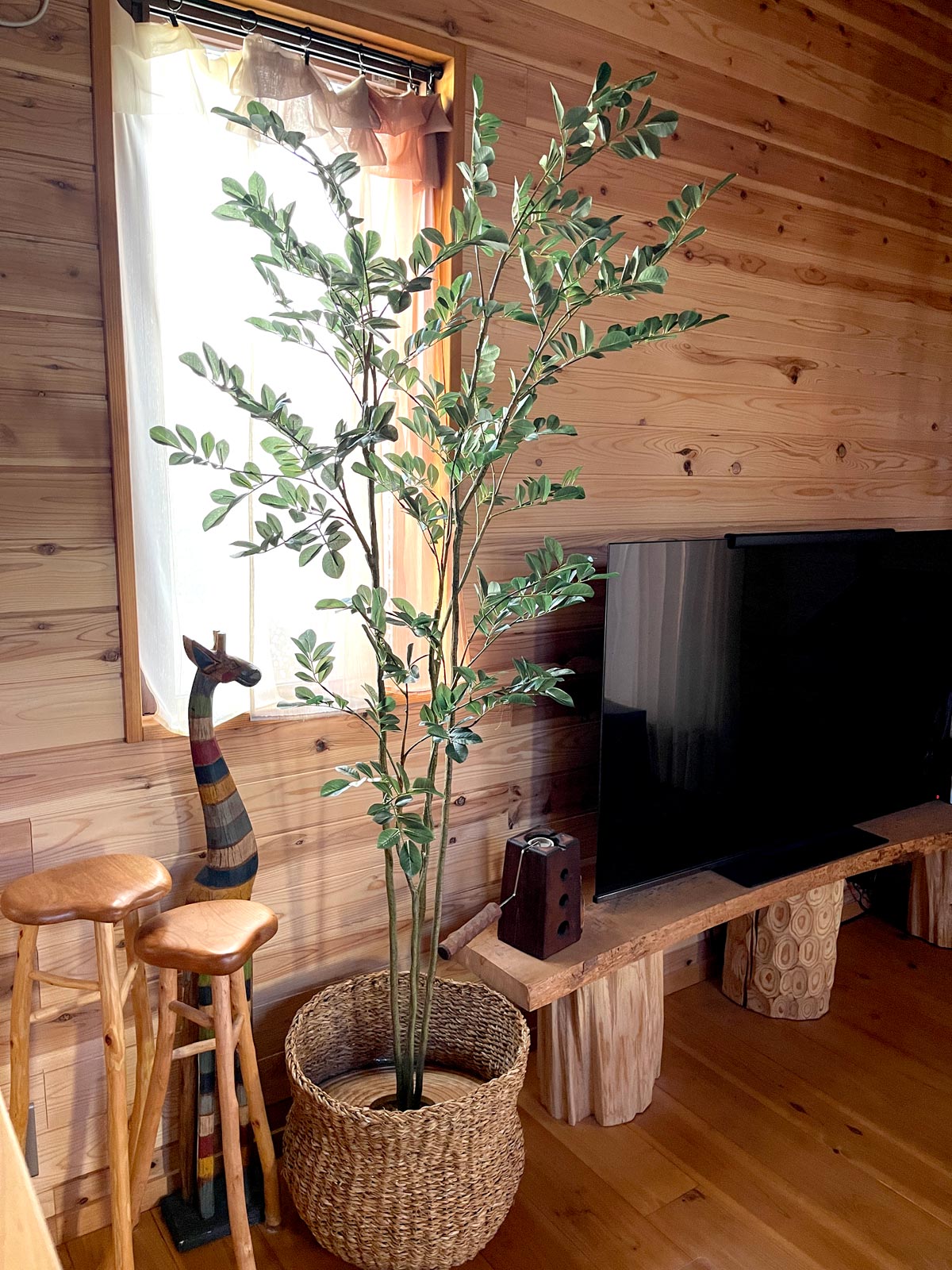 コーヒーの木 | プレミアム光触媒フェイクグリーン 造花ドットコム