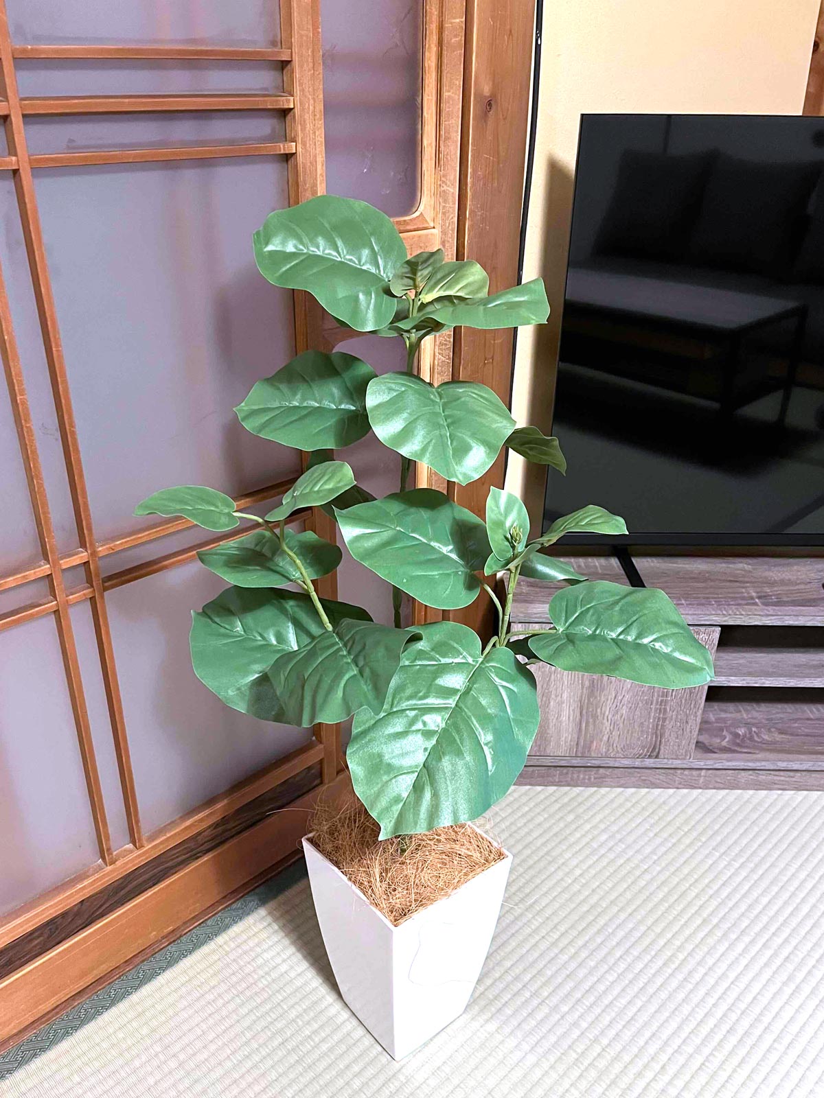 コーヒーの木 | プレミアム光触媒フェイクグリーン 造花ドットコム