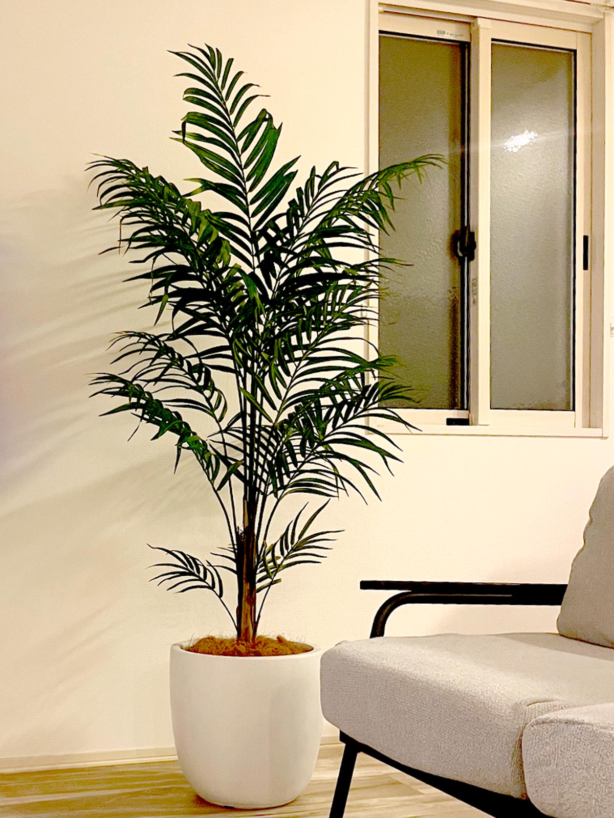 プレミアム光触媒フェイクグリーン 造花ドットコム zouka.com