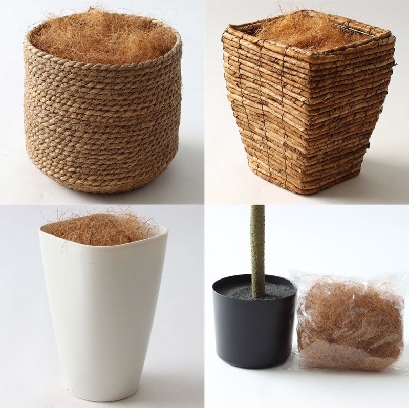 インドゴムノキ 鉢カバーオプション