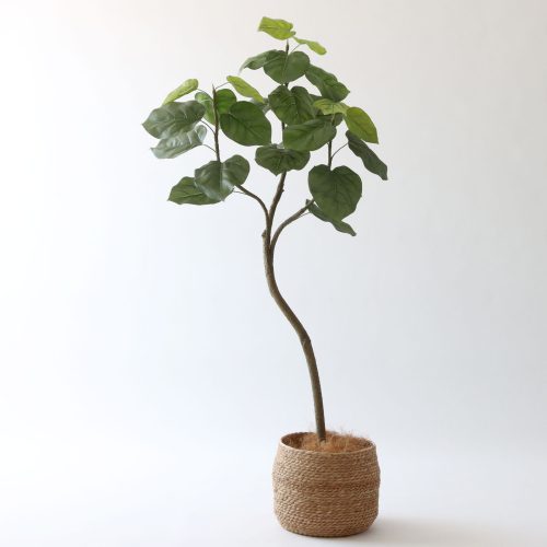 プレミアム光触媒フェイクグリーン専門店のご紹介