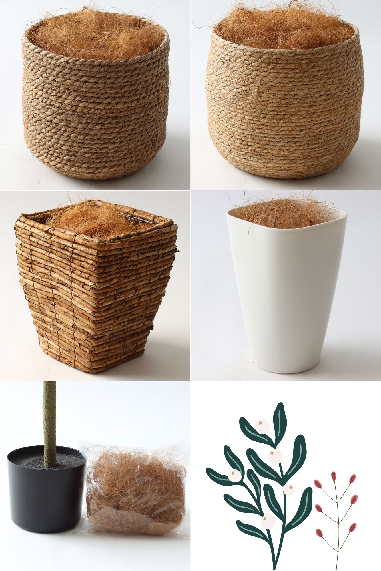 インドゴムノキ 鉢カバーオプション