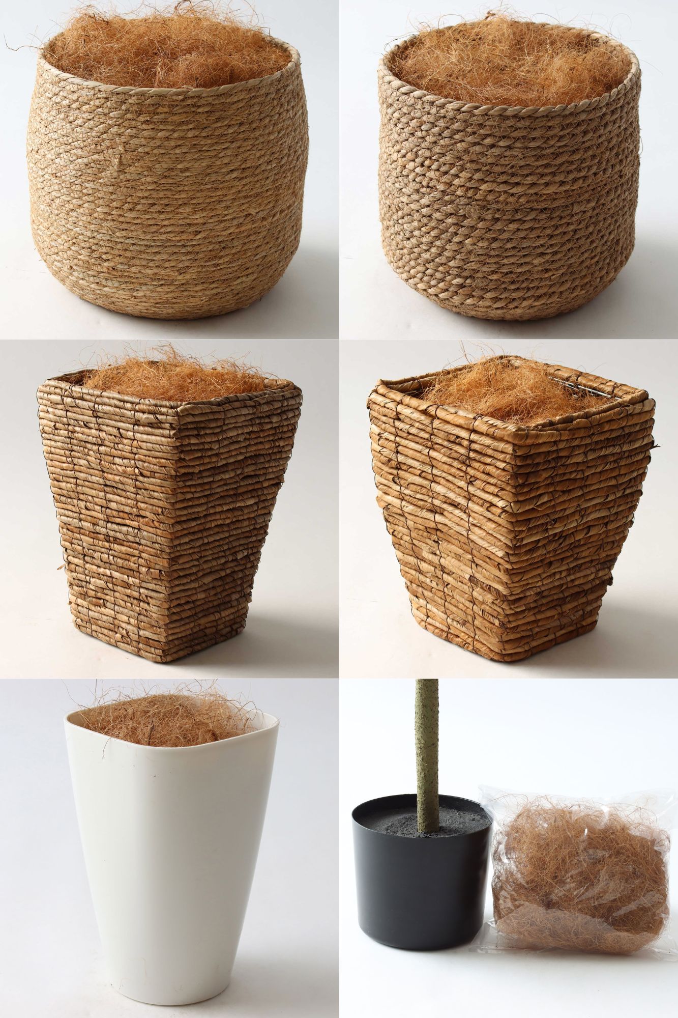 インドゴムノキ 鉢カバーオプション