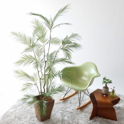 植物をすぐ枯らしてしまう人へ｜もう失敗しない選び方