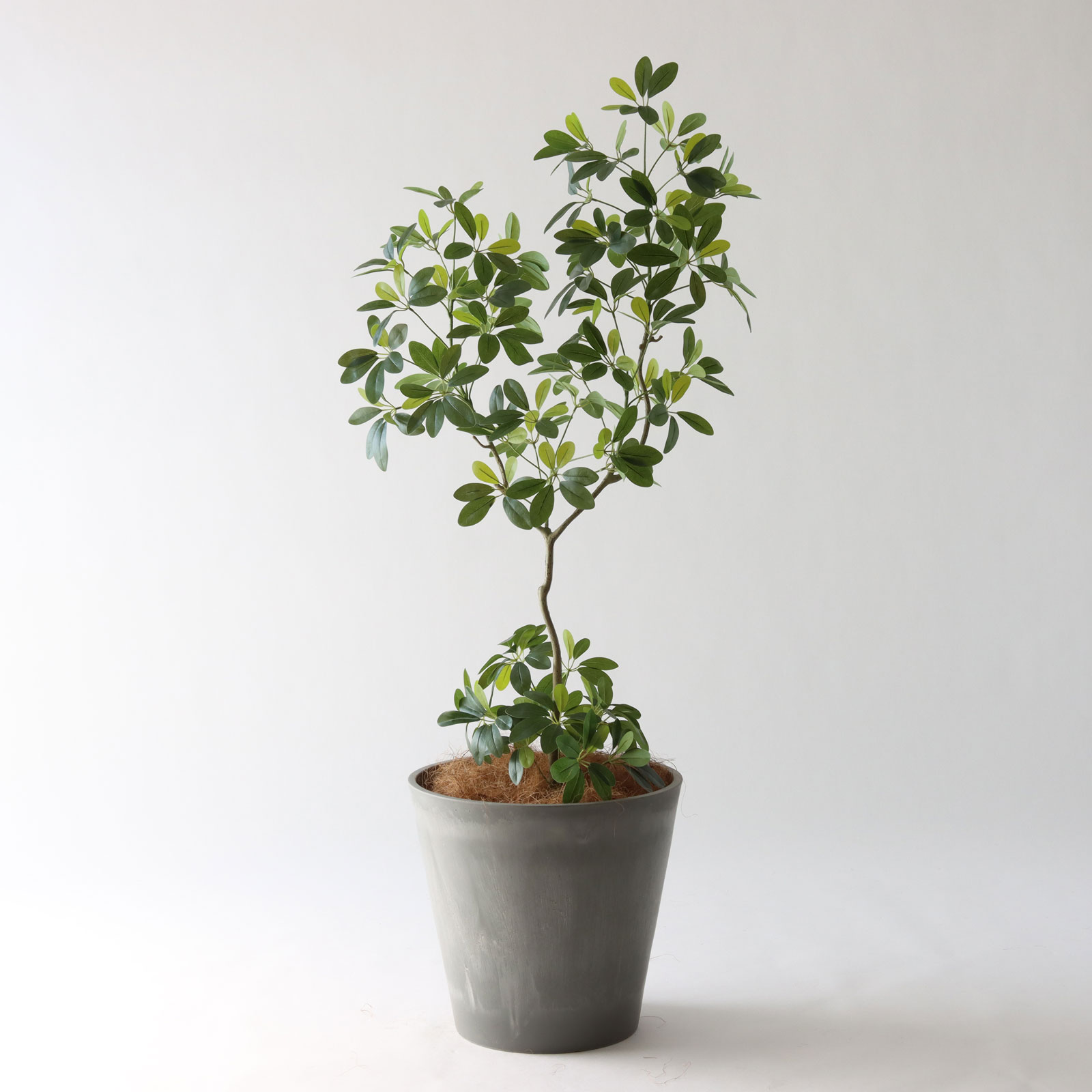 フェイクグリーンの幹の種類は？｜素材と作りの違い