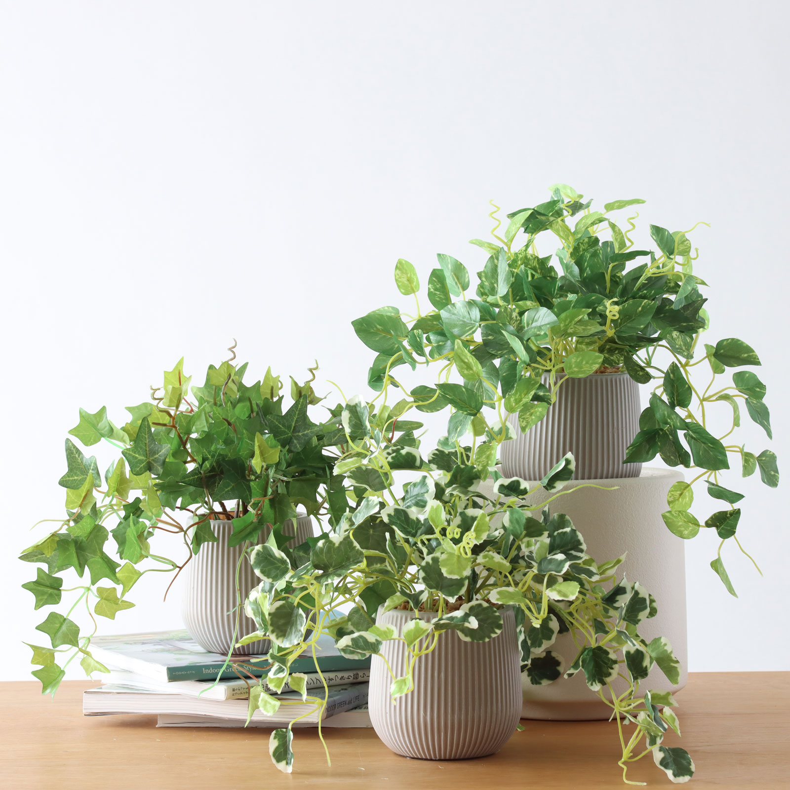 mini greenシリーズ｜表情の違う3点セット🌿