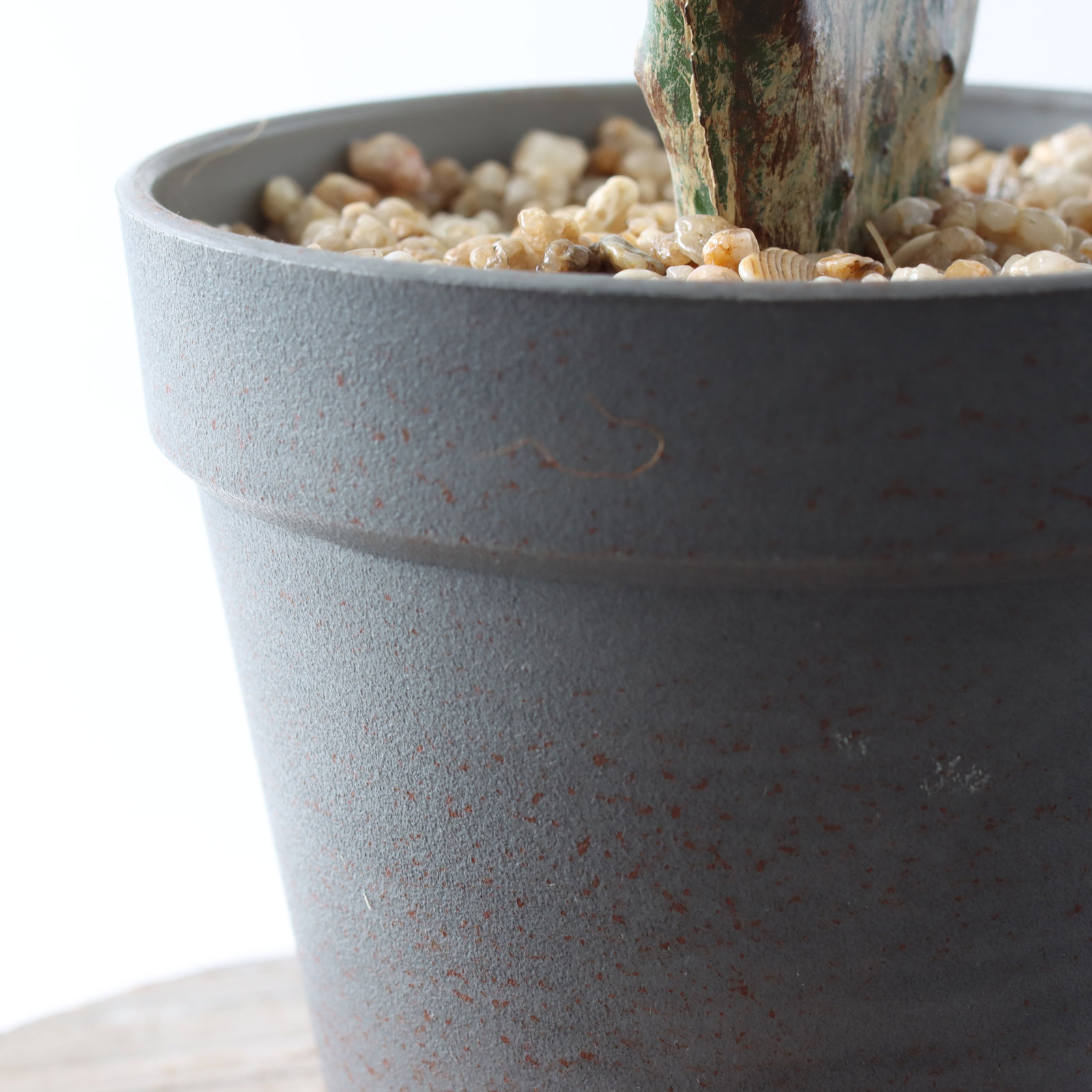 Patinaポット ウチワサボテン