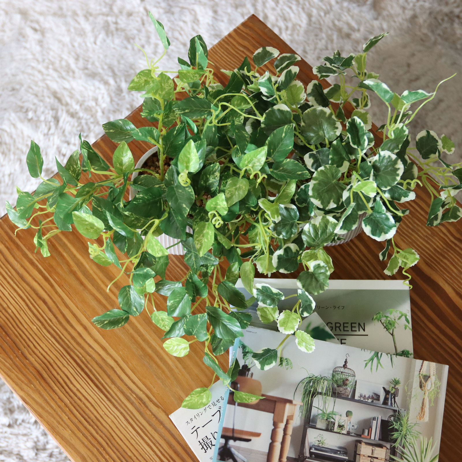 卓上フェイクグリーン minigreenシリーズ