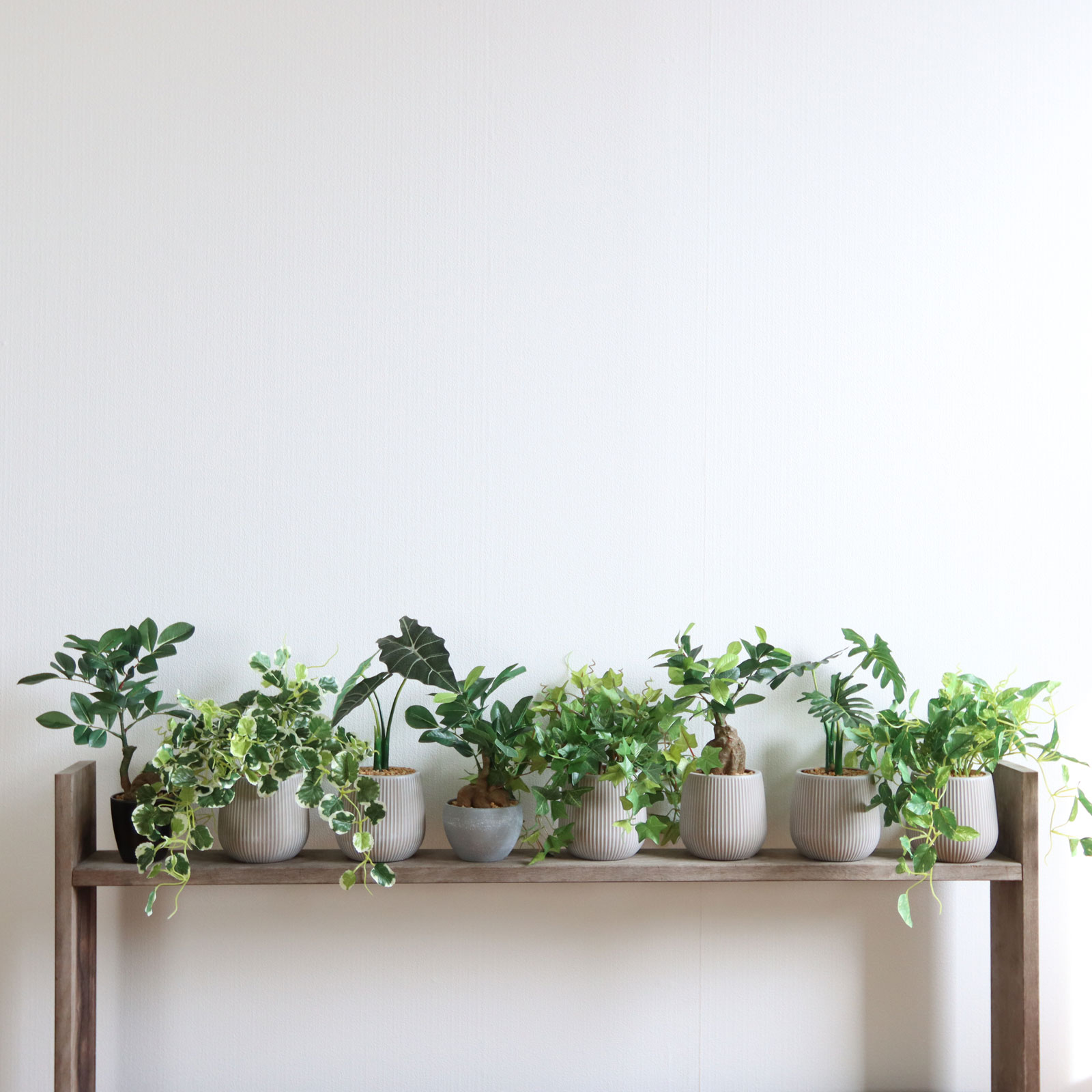 卓上に飾れるフェイクグリーン|minigreenシリーズ