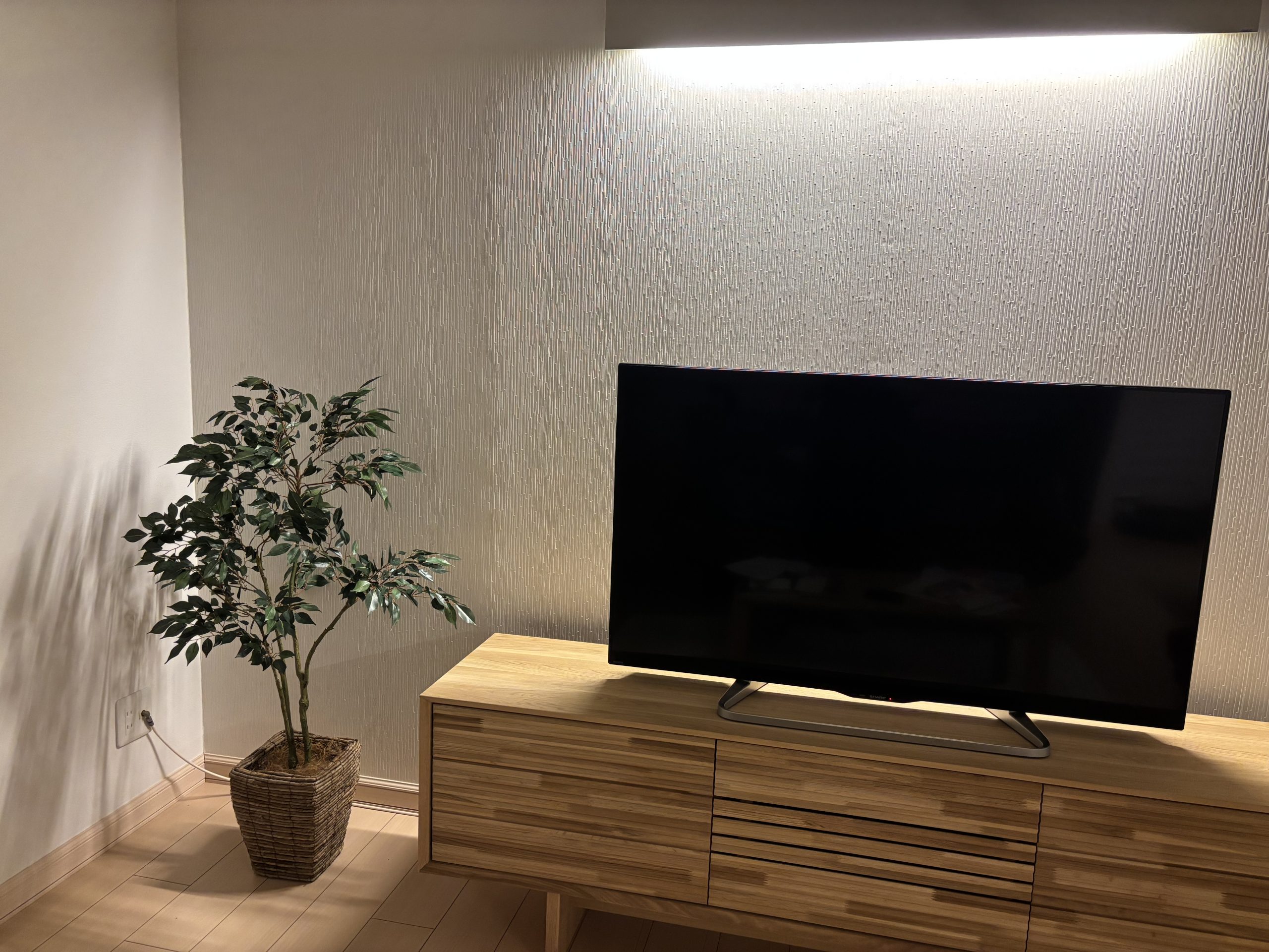 ナチュラル・北欧の部屋に置いたベンジャミン