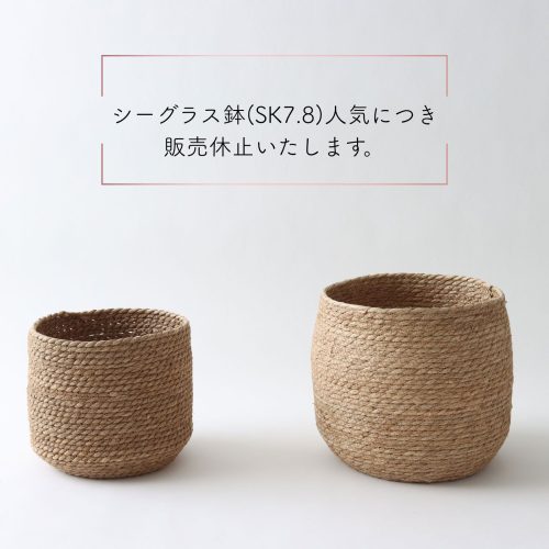 シーグラス鉢の在庫状況について｜次回入荷は5月上旬