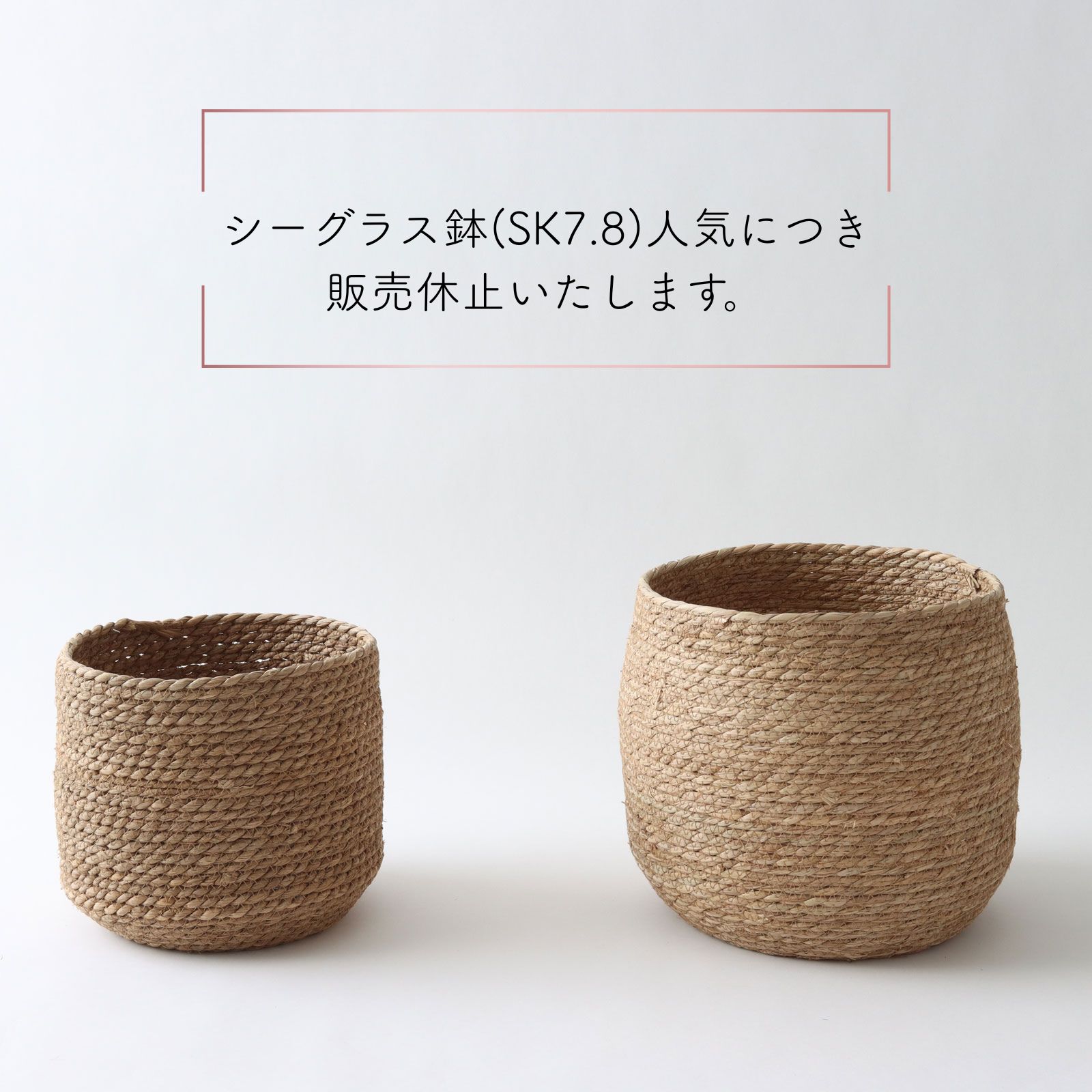 シーグラス鉢の在庫状況について|次回入荷は5月上旬