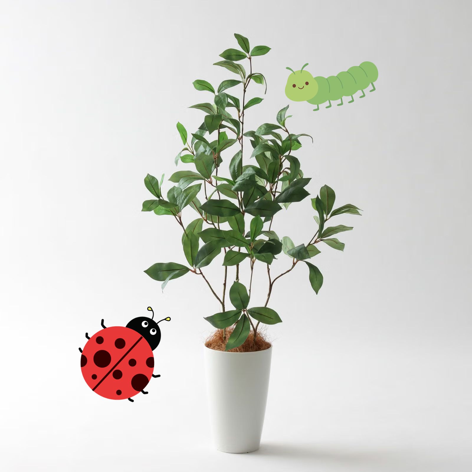 虫が嫌いな人でも安心！フェイクグリーンで観葉植物を飾りましょう 