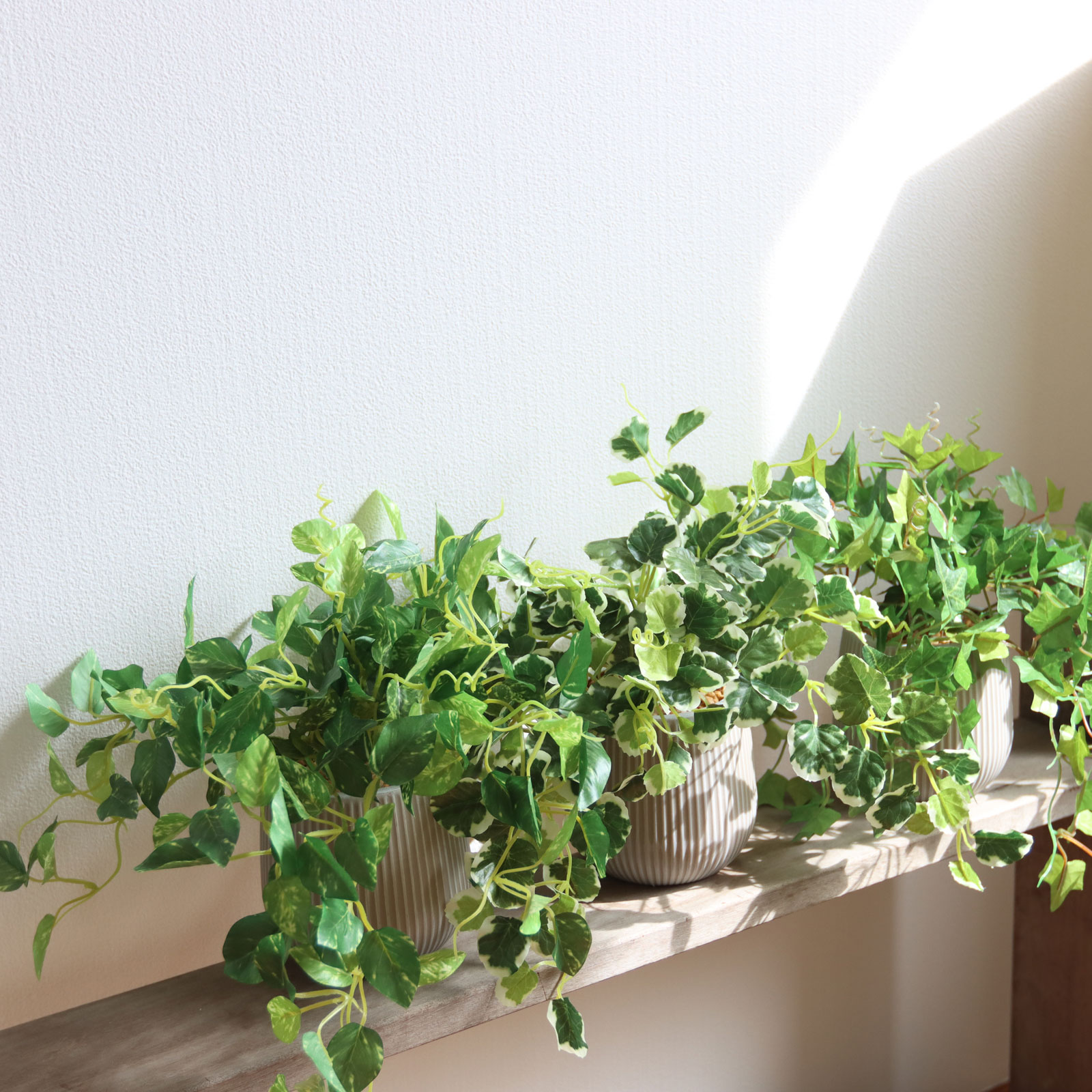 ポトス フェイクグリーン