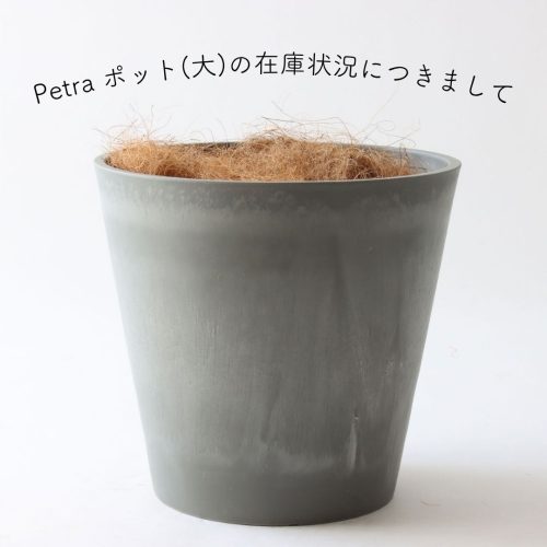 Petra ポット(大)の在庫状況につきまして