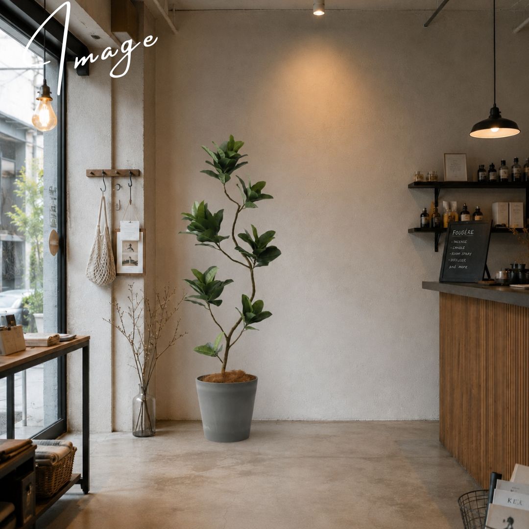カフェとグリーン