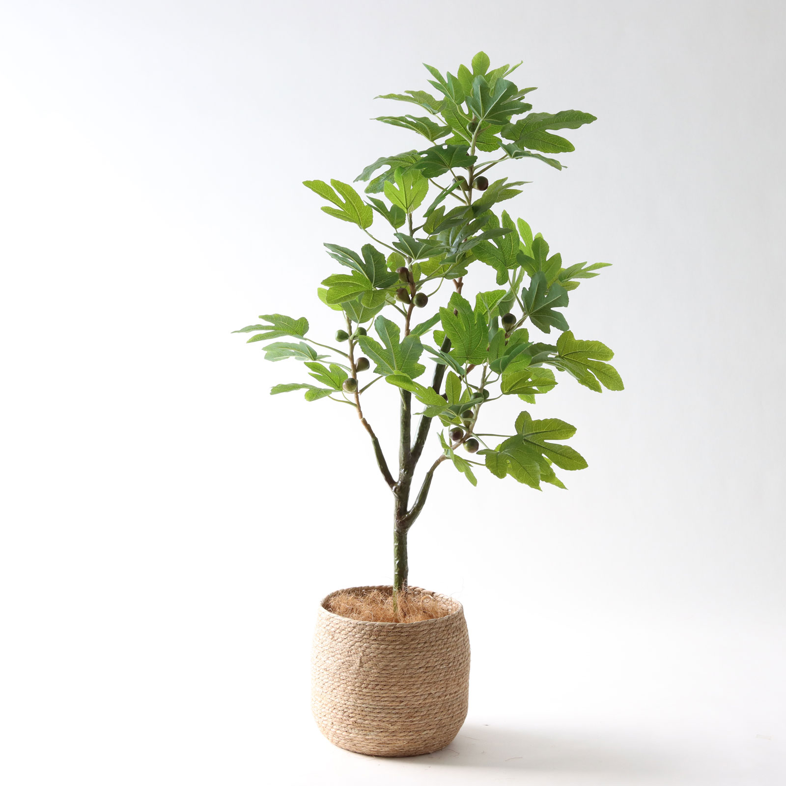 半完成品(幹のラインを整えた状態)