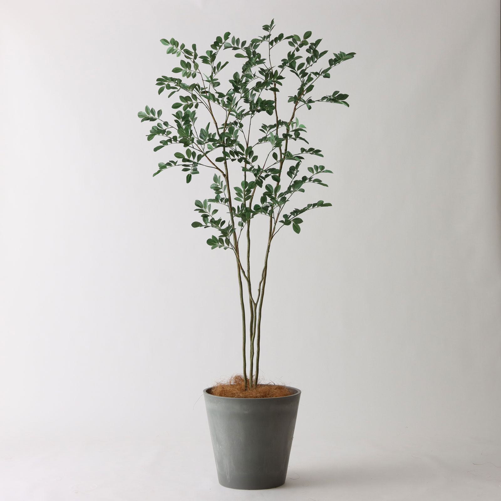 フェイクグリーン シマトネリコ レモンリーフ 光触媒 観葉植物 造花 インテリア