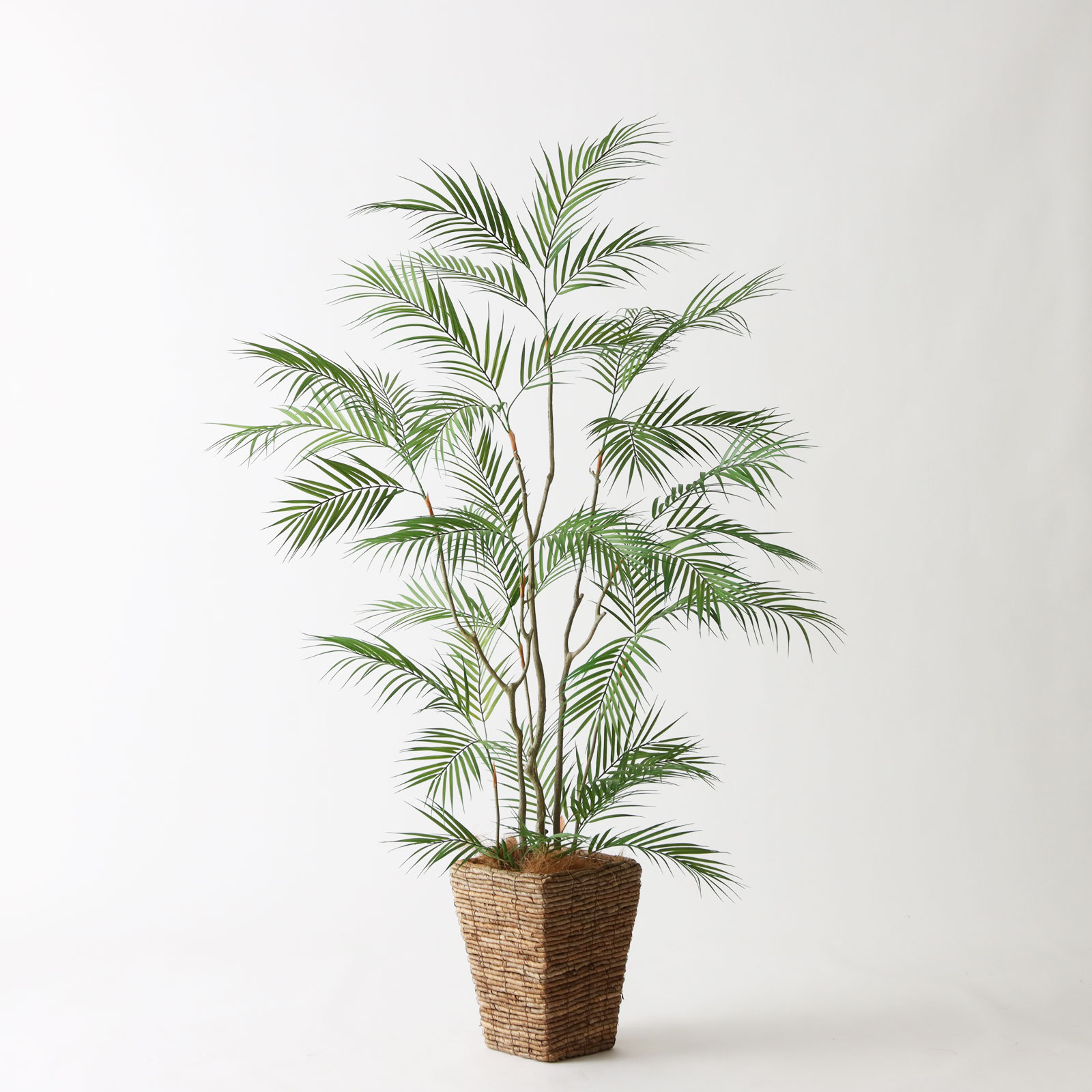 8号バナナリーフバスケット（KG5-SRE）｜ヤシ160cm コーディネート例