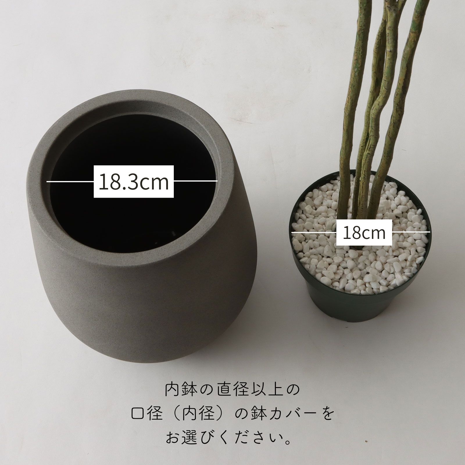 サイズ比較
