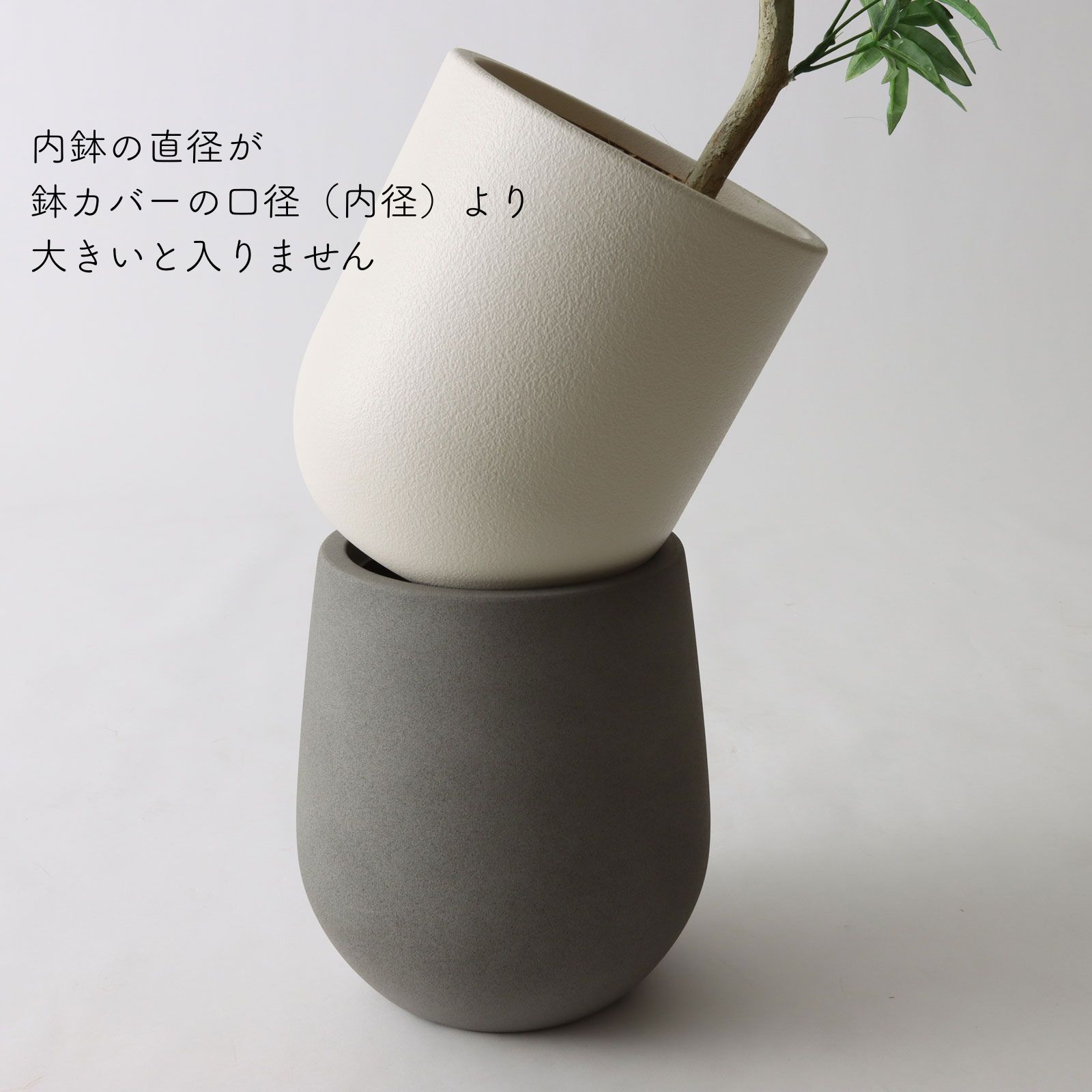 入らない例