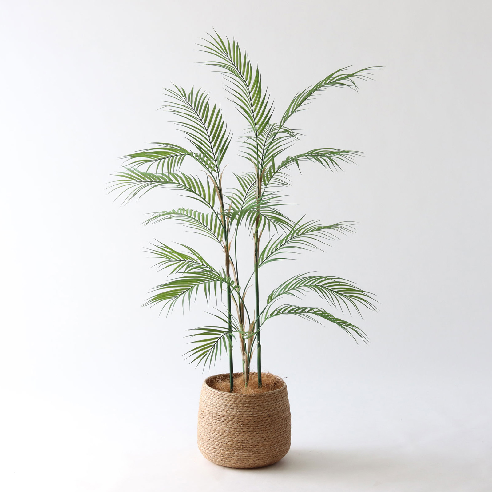 7号シーグラスバスケット｜ヤシ120cm コーディネート例